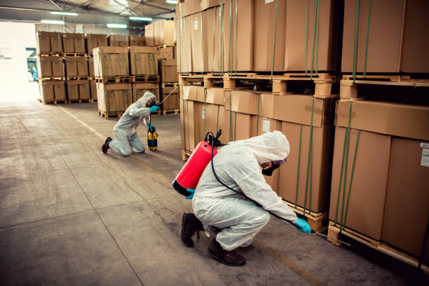 Best Ant Control Services  in Bolivar, OH