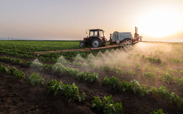 Best Commercial Pest Control Services  in Bolivar, OH