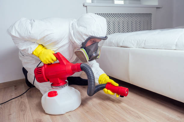 Best Best Pest Control Companies  in Bolivar, OH