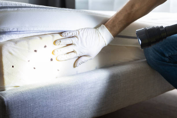 Best Commercial Pest Control Services  in Bolivar, OH
