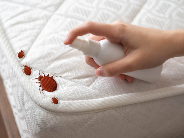 Best Insect Control  in Bolivar, OH