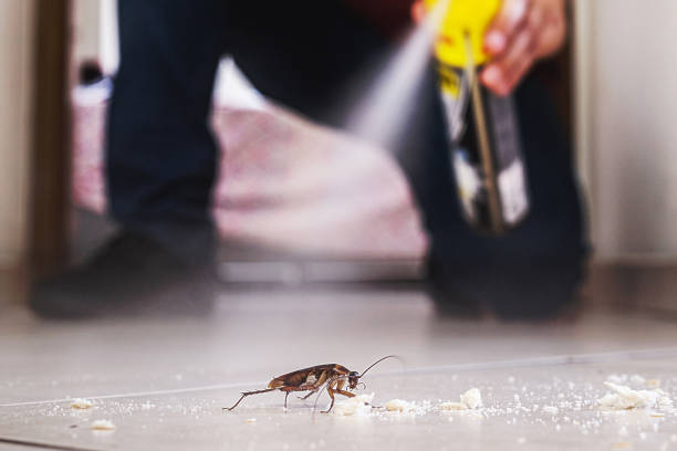 Best Pest Control for Restaurants  in Bolivar, OH