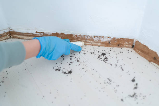 Pest Control for Restaurants in Bolivar, OH